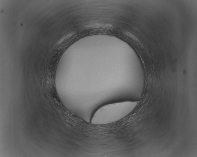 X0000067390869200603310953