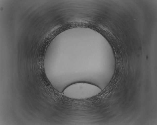 X0000067390870200603310953
