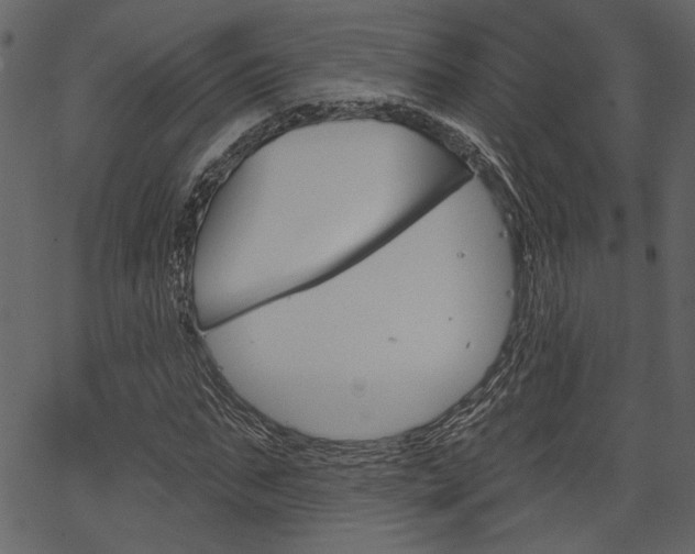X0000067390871200603310953