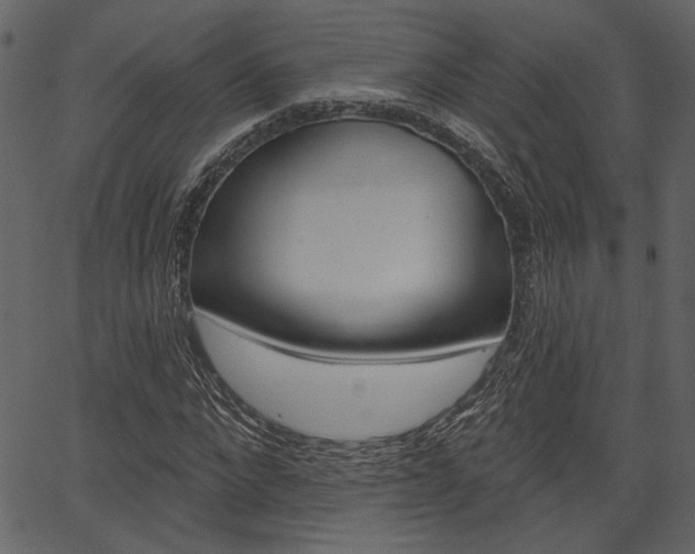 X0000067390872200603310953