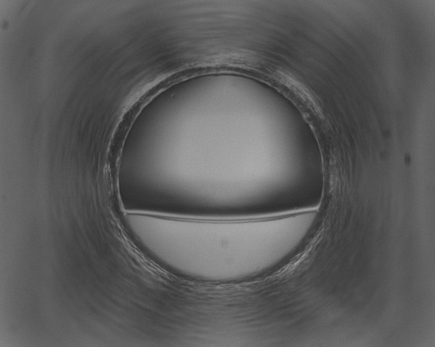 X0000067390876200603310953