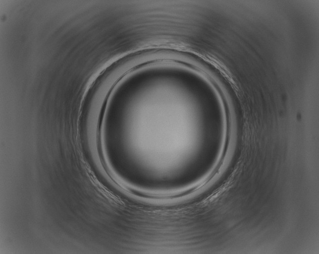 X0000067390880200603310953
