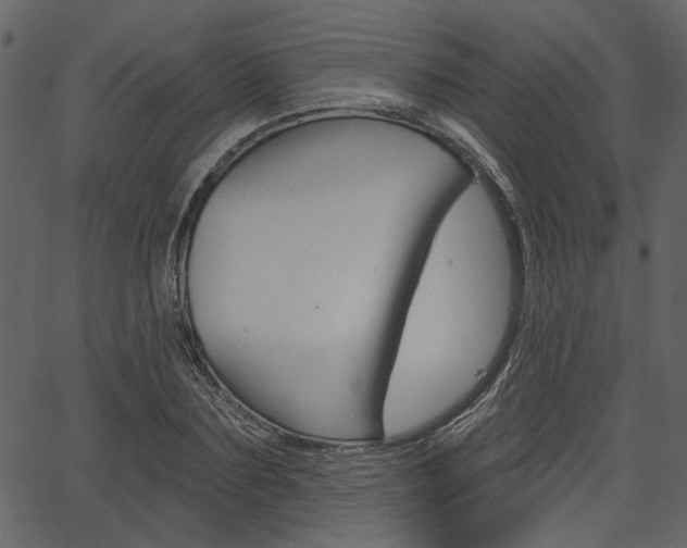 X0000067390883200603310953