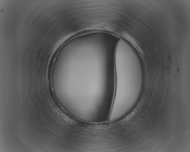 X0000067390884200603310953