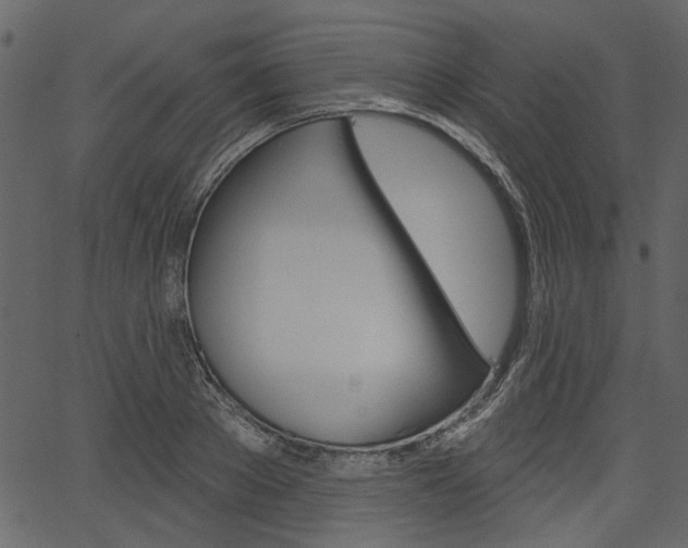 X0000067390889200603310953