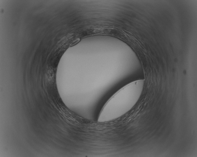 X0000067390914200603310951
