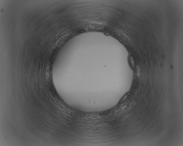 X0000067390915200603310951