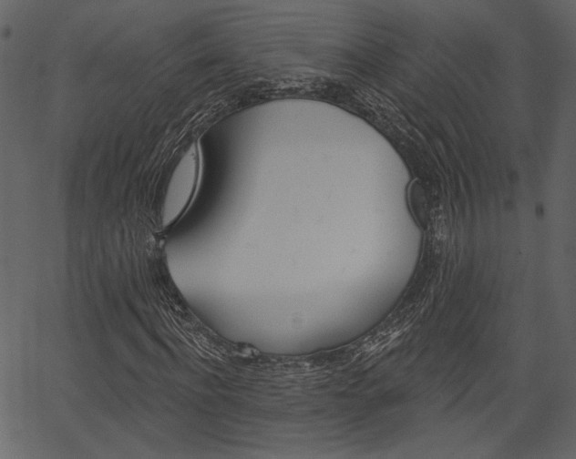 X0000067390916200603310951