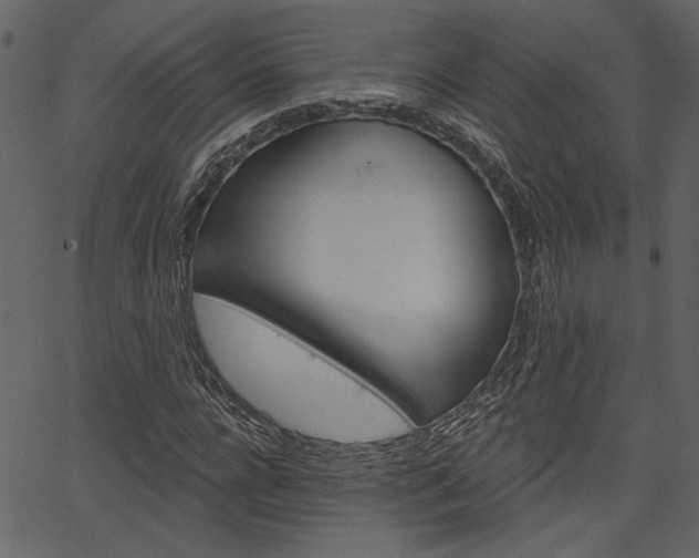X0000067390920200603310951