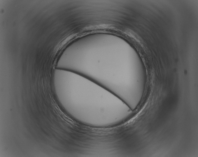 X0000067390921200603310951