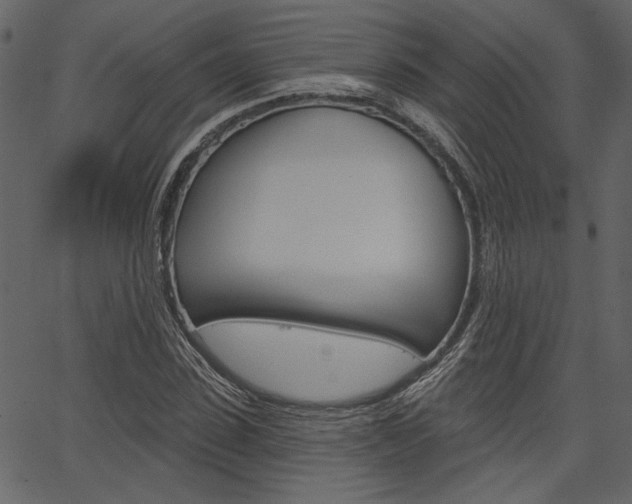 X0000067390923200603310952