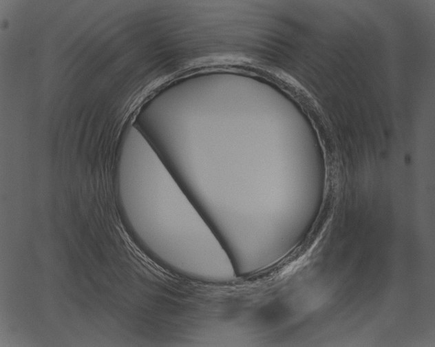 X0000067390929200603310952