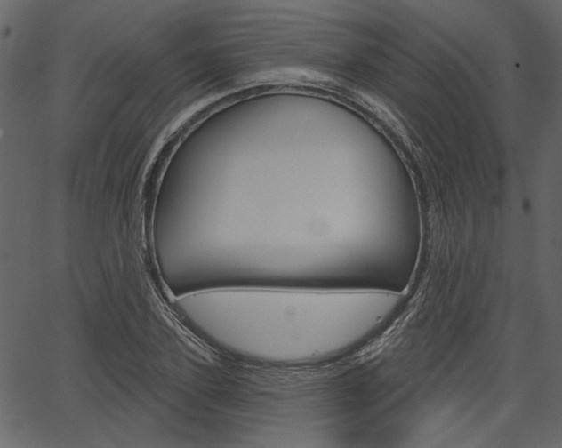 X0000067390931200603310952