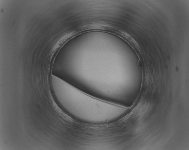 X0000067390938200603310952