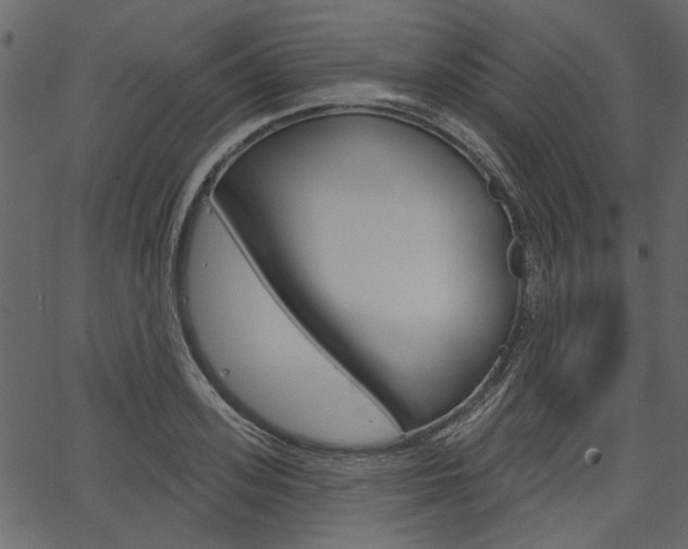 X0000067390939200603310952