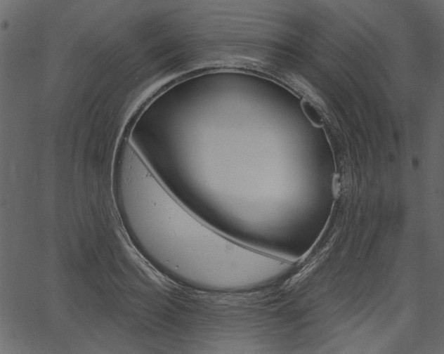 X0000067390940200603310952