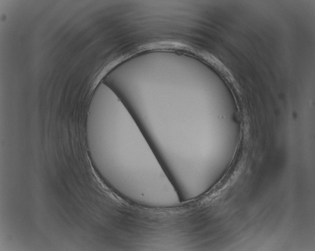 X0000067390945200603310952