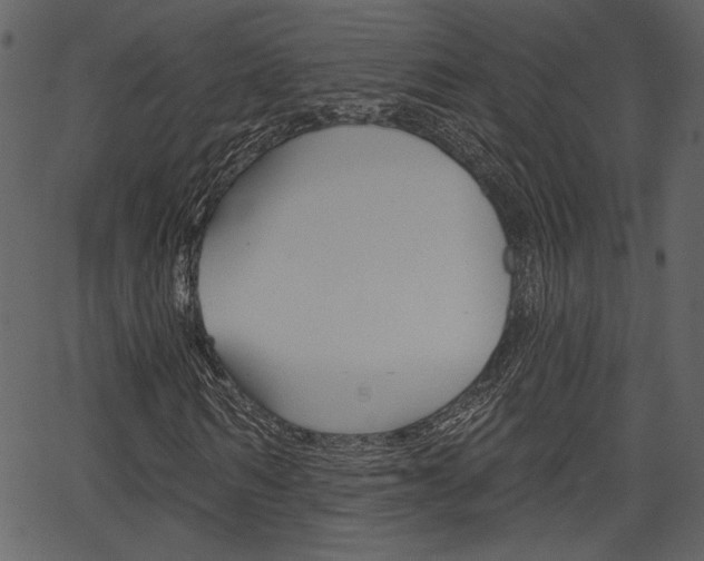 X0000067390962200603310951