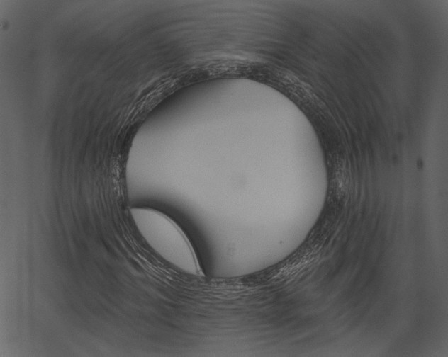 X0000067390964200603310951