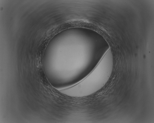 X0000067390965200603310951