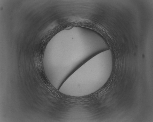 X0000067390966200603310951