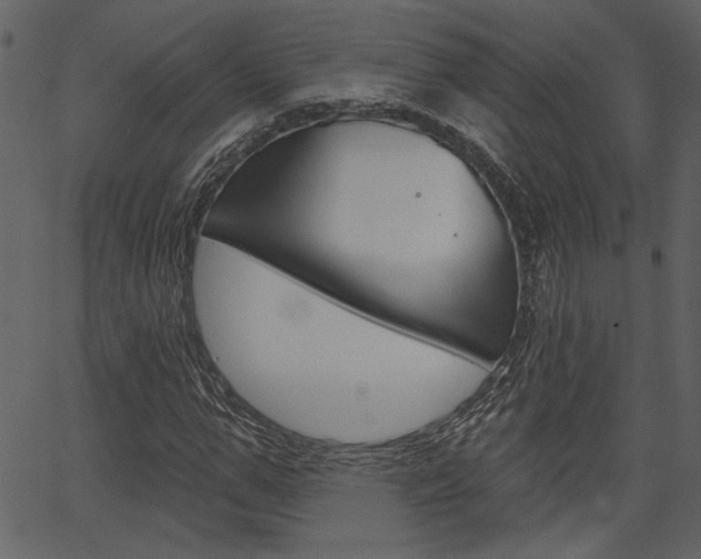 X0000067390967200603310951