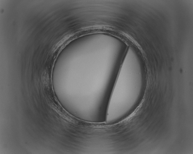 X0000067390969200603310951