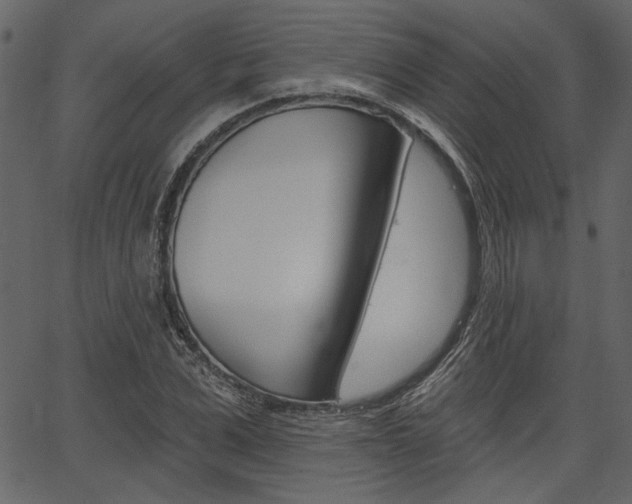 X0000067390975200603310951