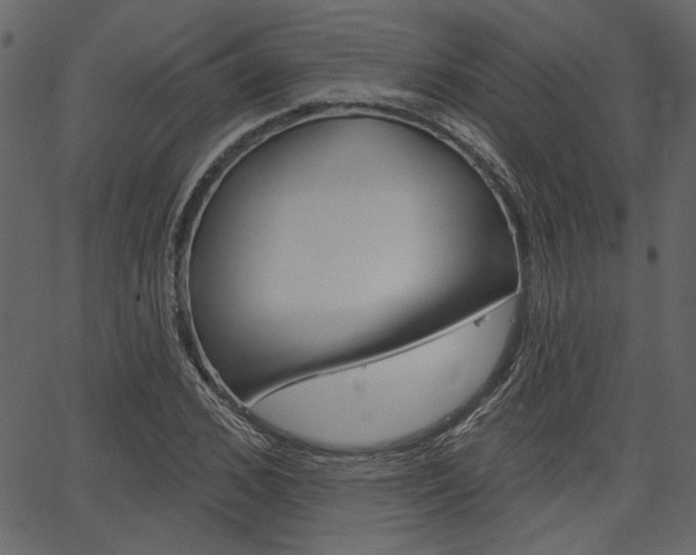 X0000067390976200603310951