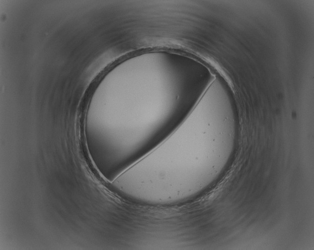 X0000067390983200603310951