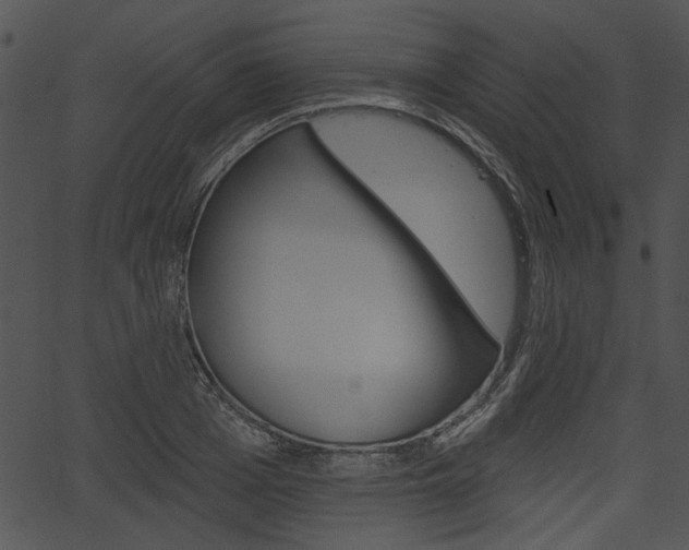 X0000067390985200603310951