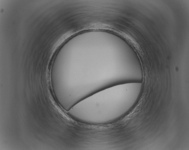 X0000067390990200603310951