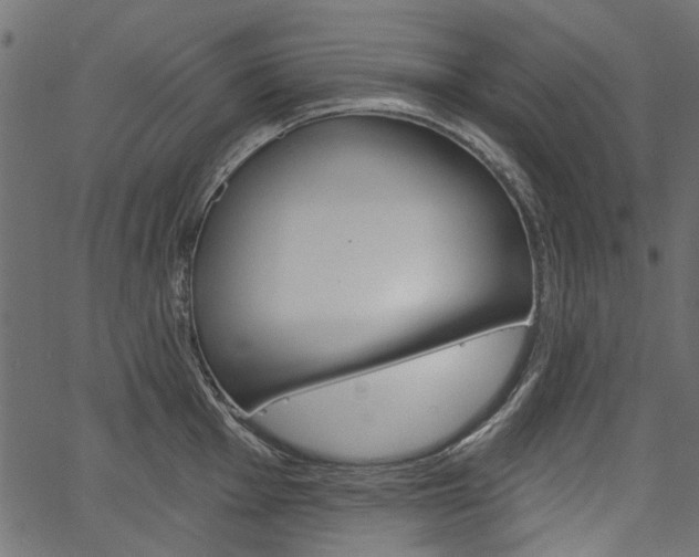 X0000067391001200603310951