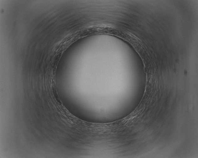 X0000067391014200603310950