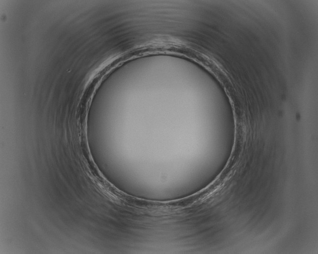 X0000067391018200603310950