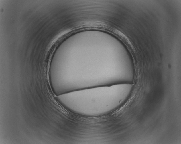 X0000067391019200603310950