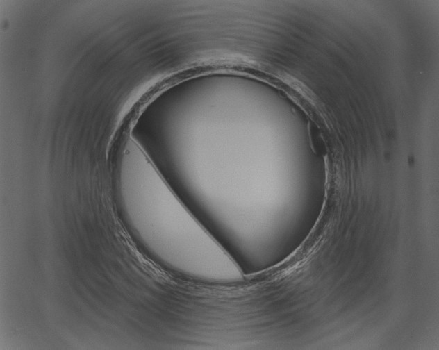 X0000067391022200603310950