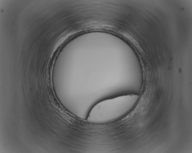 X0000067391023200603310950