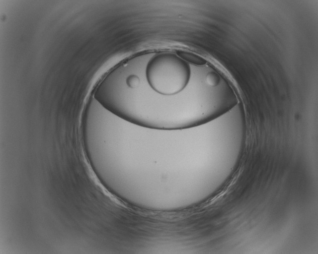 X0000067391053200603310951