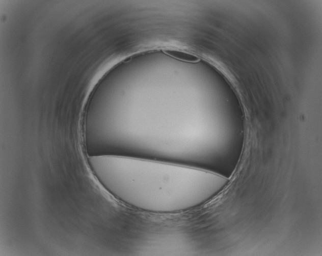 X0000067391056200603310951