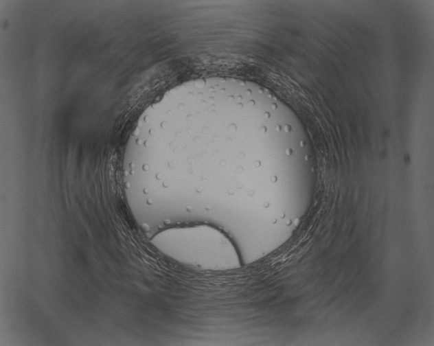 X0000067391059200603310950