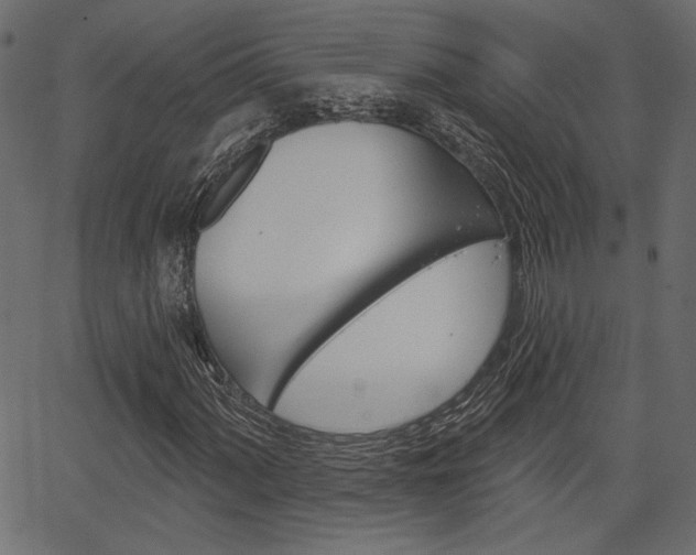 X0000067391060200603310950