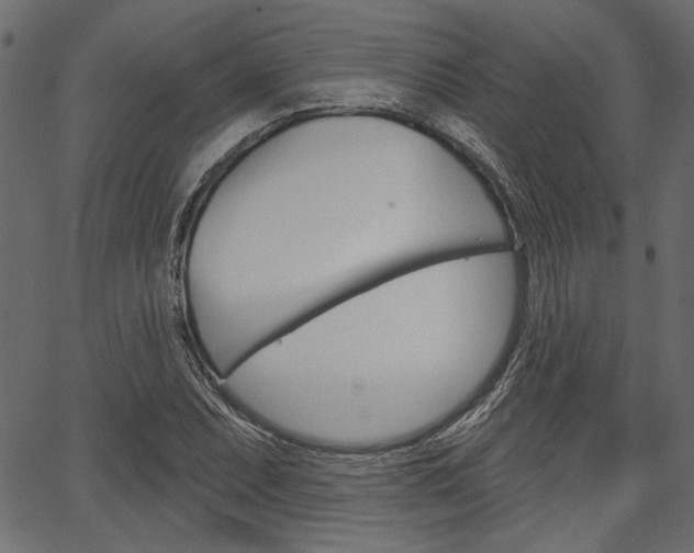 X0000067391071200603310950