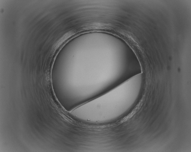X0000067391073200603310950