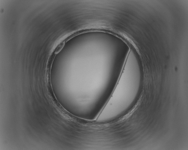 X0000067391077200603310949