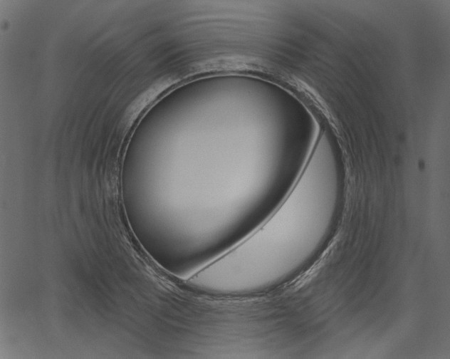 X0000067391081200603310949