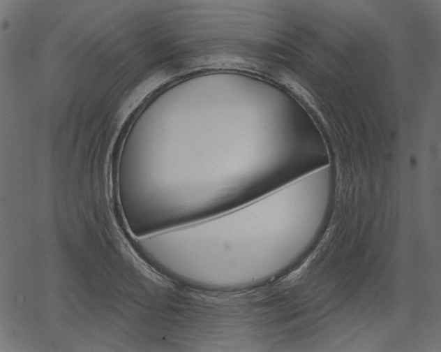 X0000067391082200603310949