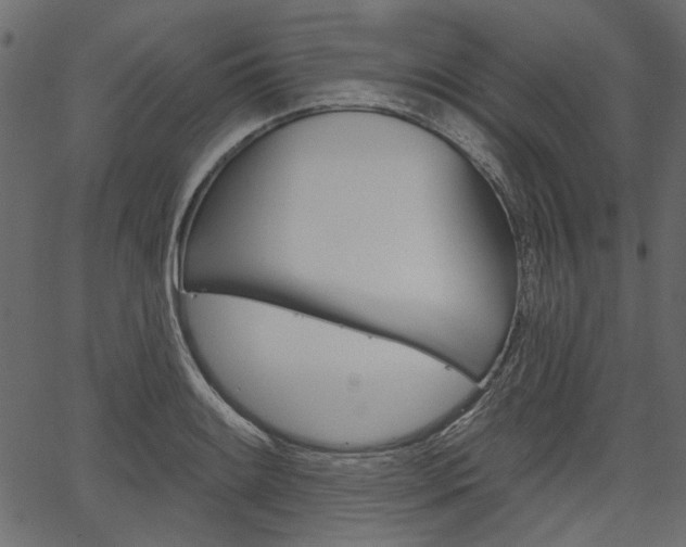 X0000067391084200603310949