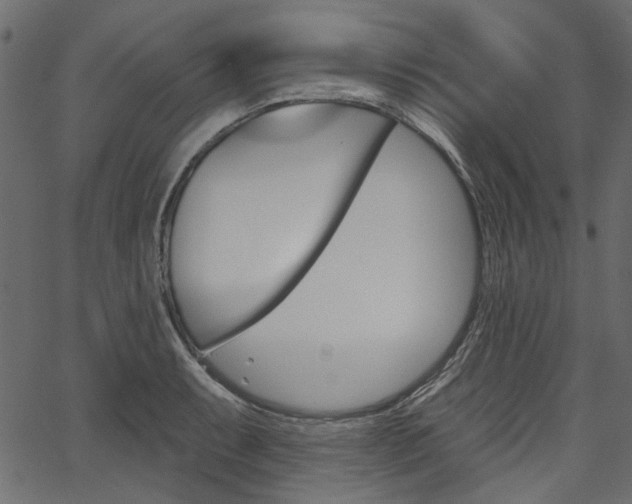 X0000067391087200603310949