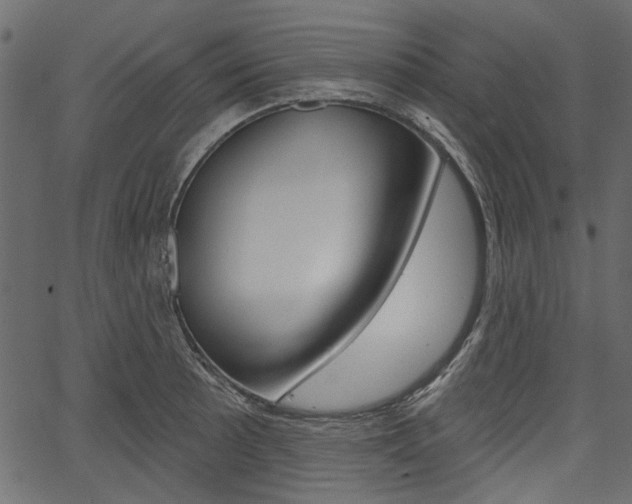 X0000067391089200603310949